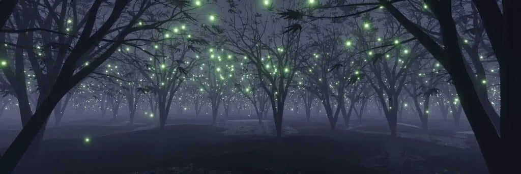 Créez des vidéos avec Render Forest – Waxoo.fr